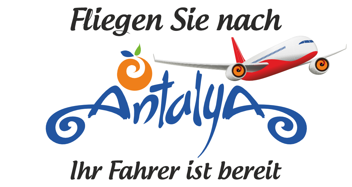 fly de